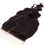 Brazilian Loose Wave 4x4 Closure